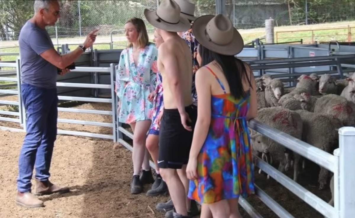 VIDEO / Studenţii de la medicină au pozat nud alături de animale. Imagini incediare!