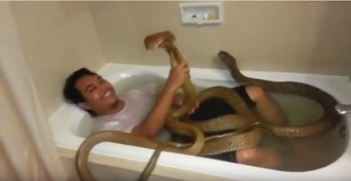 VIDEO / Câtă inconştienţă! Acest bărbat face baie în cada plină cu şerpi cobra