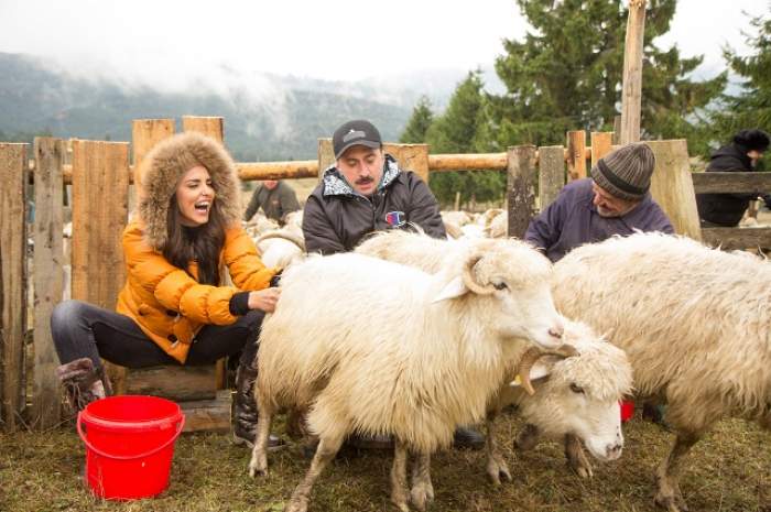 Lavinia Pârva și Romică Țociu au râs cu lacrimi la mulsul oilor. Aşa nu o să îi mai vezi niciodată!