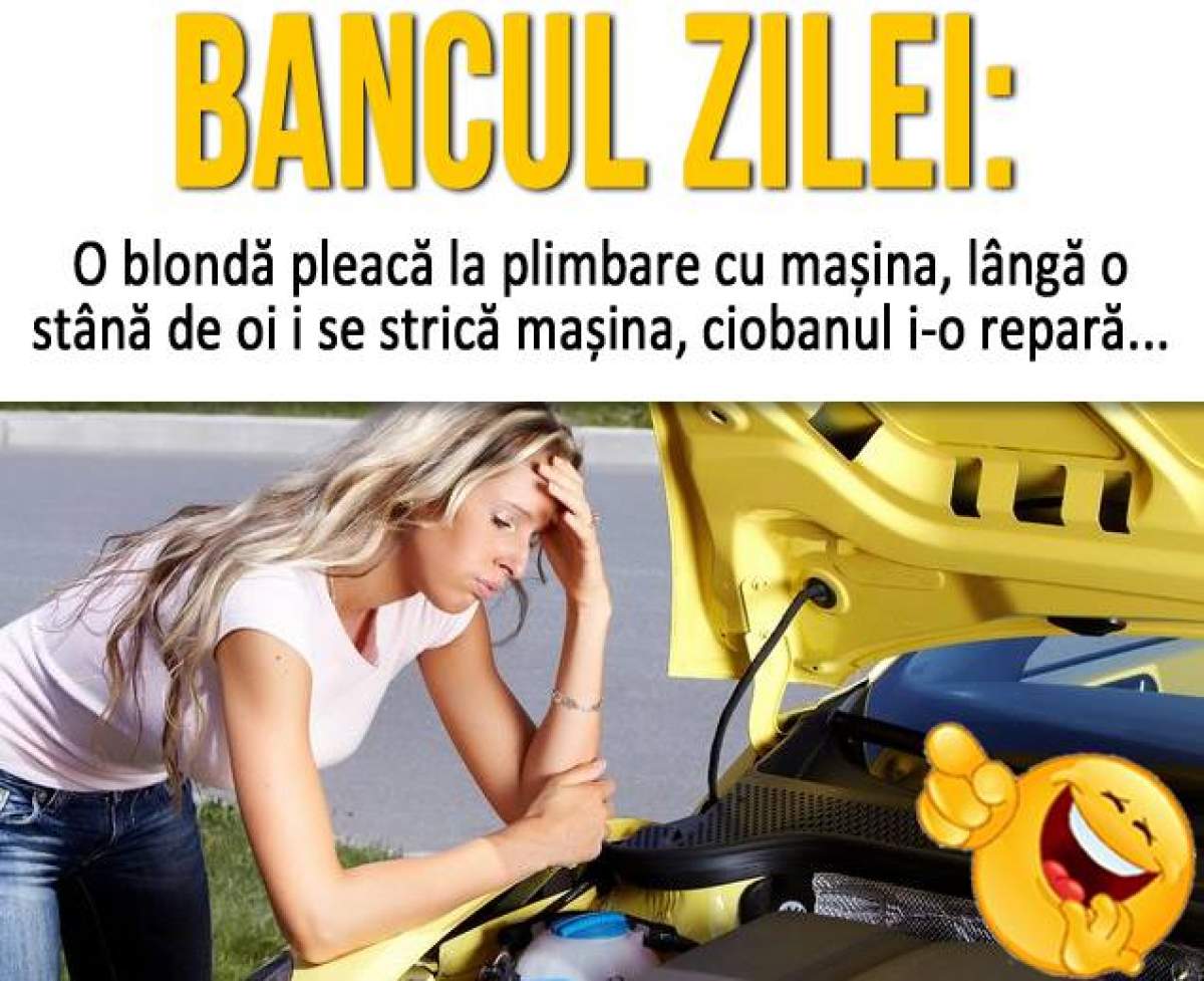 Bancul zilei: vineri -  O blondă pleacă la plimbare, lângă o stână de oi i se strică mașina