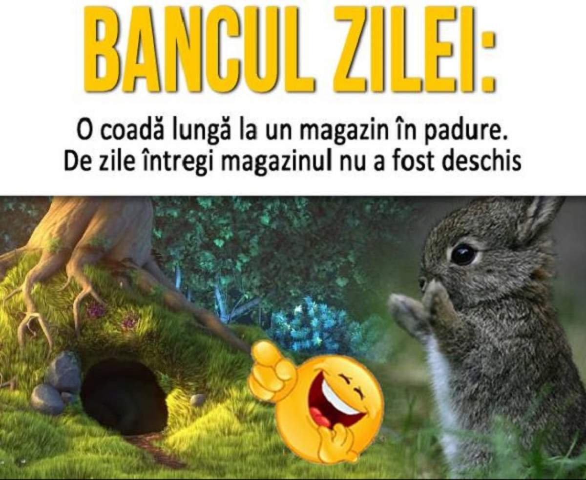 Bancul zilei: Sâmbătă - O coadă lungă la un magazin în pădure. De zile întregi nu a fost deschis