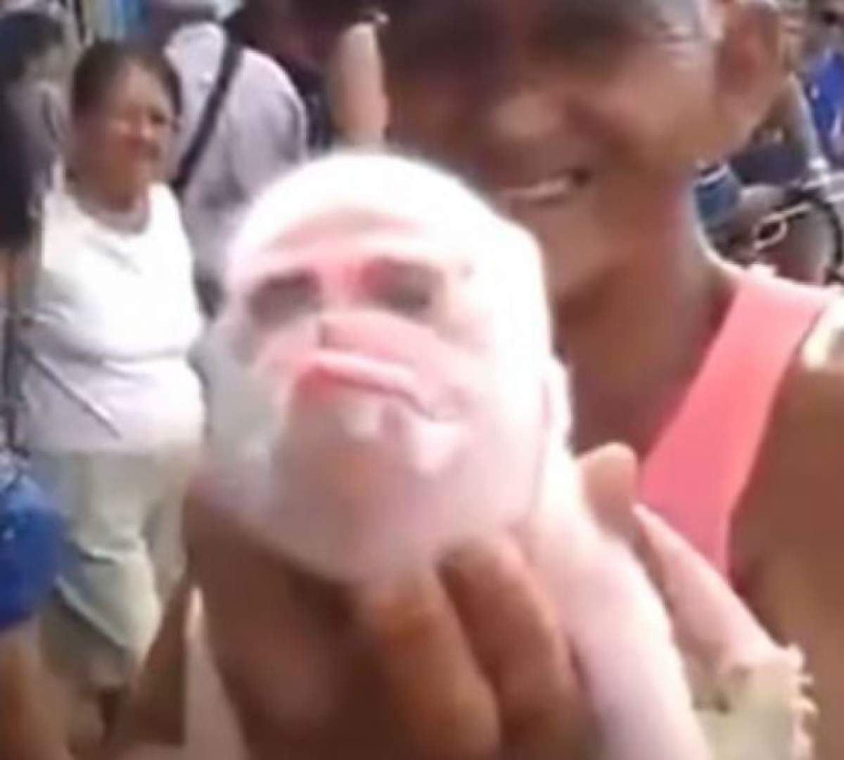 VIDEO / Cea mai ciudată creatură din lume! O combinaţie de porc cu maimuţă
