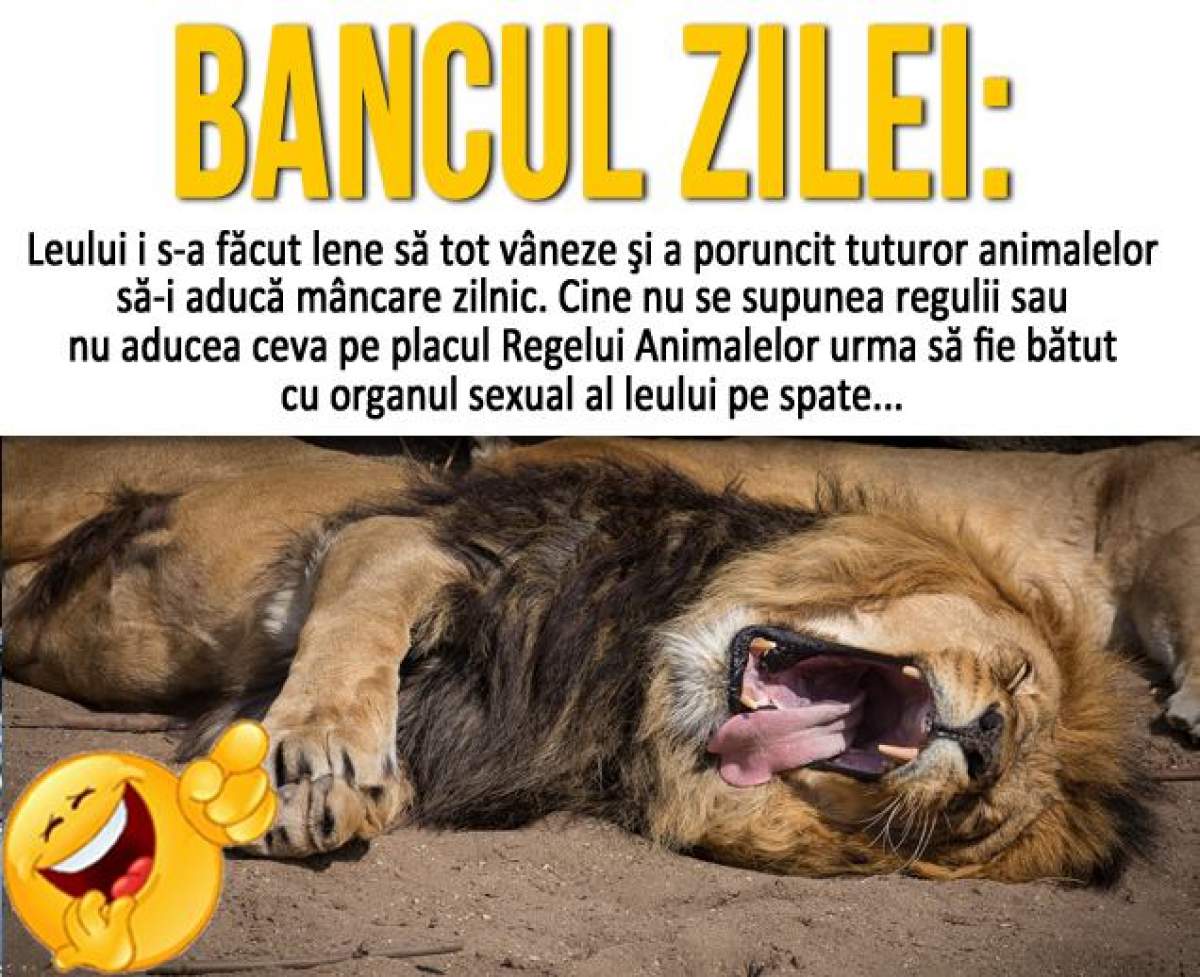 BANCUL ZILEI – VINERI: "Leului i s-a făcut lene să tot vâneze şi a poruncit tuturor animalelor să..."