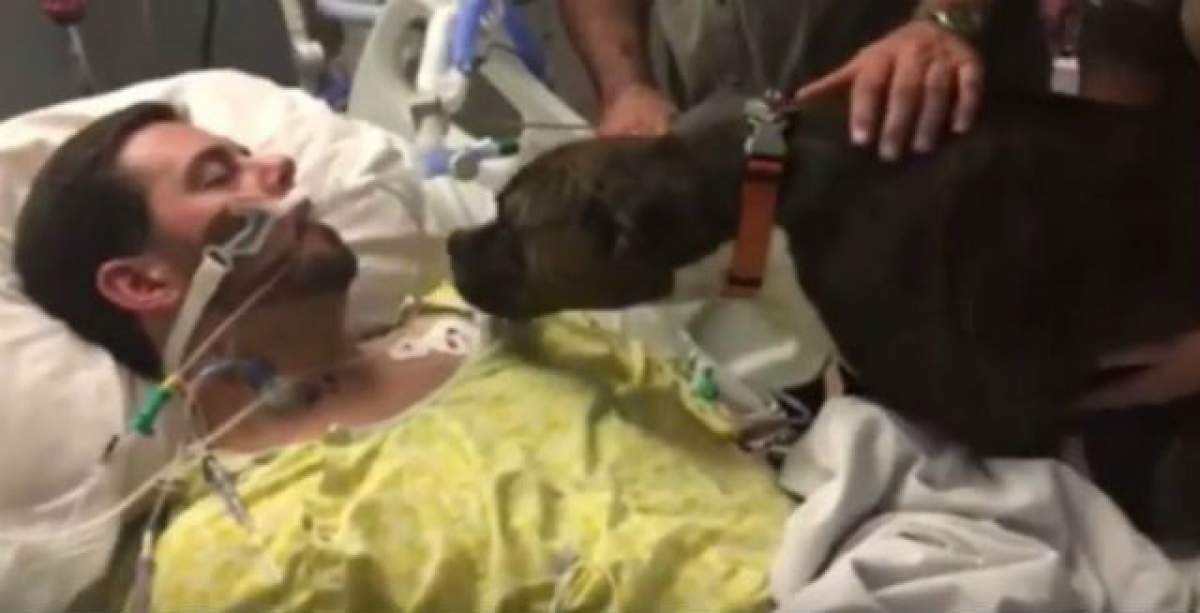VIDEO / Moment plin de emoţie! Un câine a venit la spital să-şi ia rămas bun de la stăpânul său