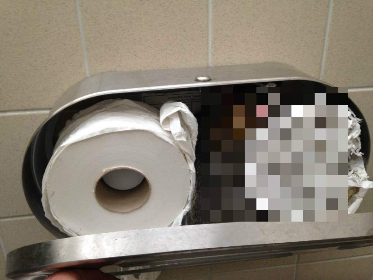 FOTO / Imaginea care a făcut furori în întreaga lume! Ce a descoperit o femeie de serviciu într-un suport pentru hârtie igienică