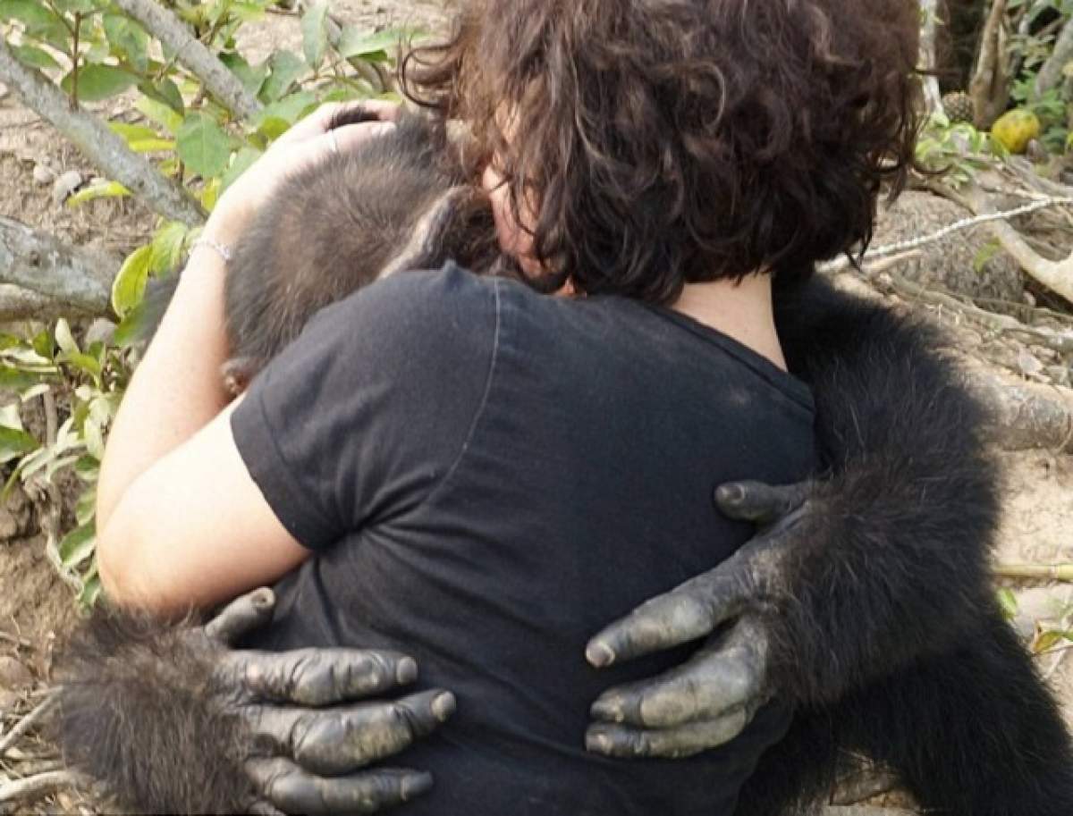 VIDEO / Reacţia celui mai singuratic cimpanzeu din lume atunci când a fost vizitat de turişti! Ponso a fost abandonat pe o insulă pustie