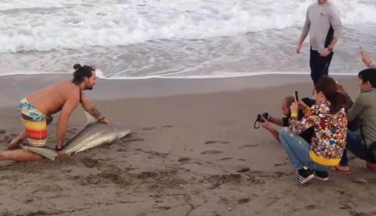 VIDEO / A scos un rechin din apă și s-a pozat cu el. Imaginile au îngrozit lumea întreagă