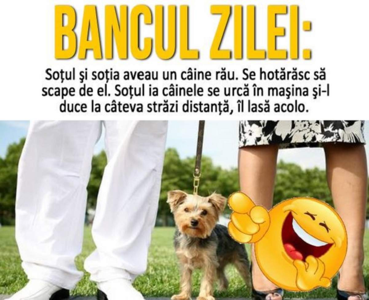 BANCUL ZILEI:  Soţul şi soţia aveau un câine rău. Se hotărăsc să scape de el. Soțul ia câinele, se urcă în mașină...