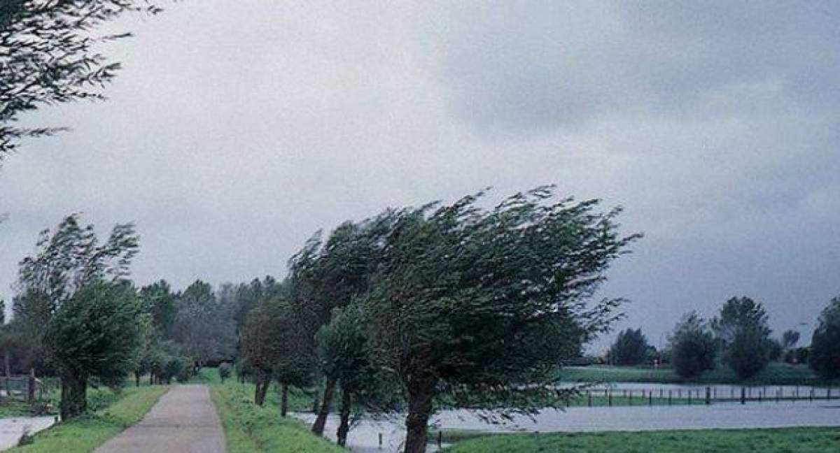 Aveţi grijă când ieşiţi din casă! Meteorologii au emis în urmă cu puţin timp un COD GALBEN  de vânt puternic