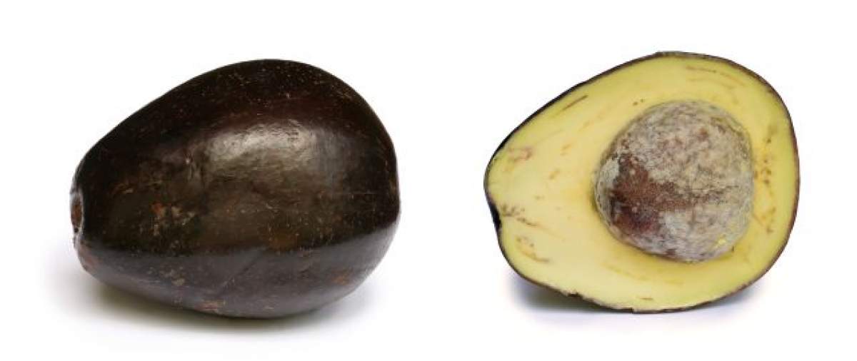 ÎNTREBAREA ZILEI - LUNI: De ce este bine să consumi sâmburele de avocado? După ce vei citi, nu îl vei mai arunca la gunoi