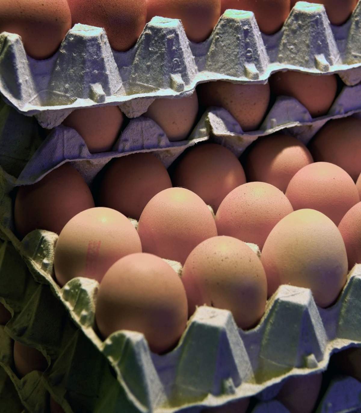ÎNTREBAREA ZILEI - MIERCURI: Ce se întâmplă cu corpul tău dacă mănânci trei ouă pe săptămână?