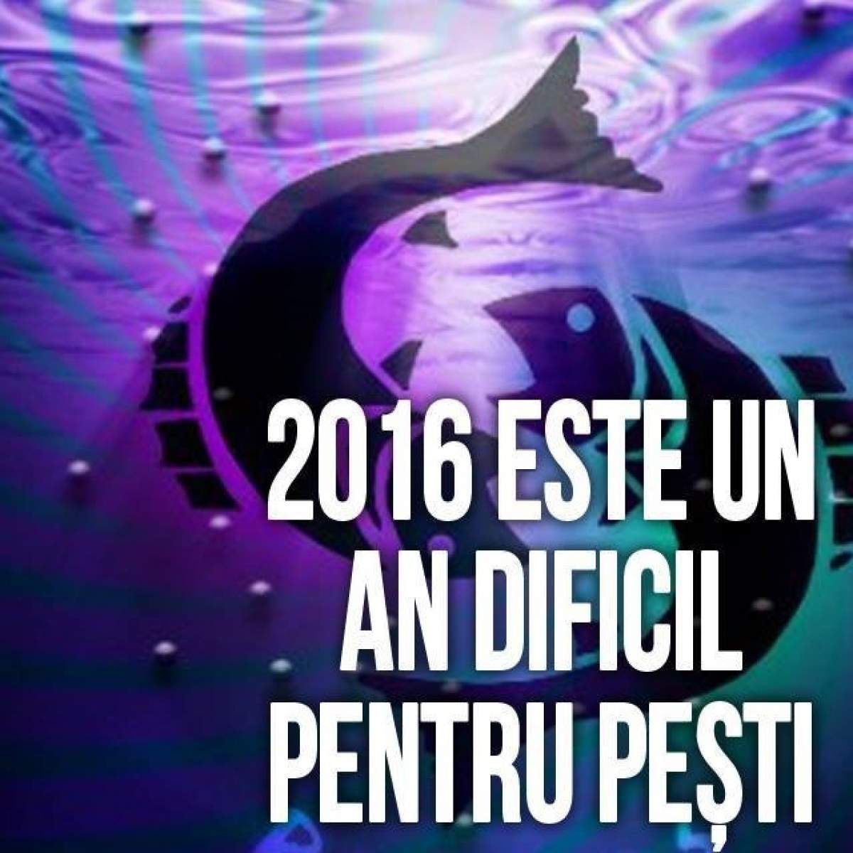 2016 este un an dificil pentru PEȘTI, dar cu disciplină și hotărâre va deveni perfect. Apar oportuntăți de câștig în septembrie