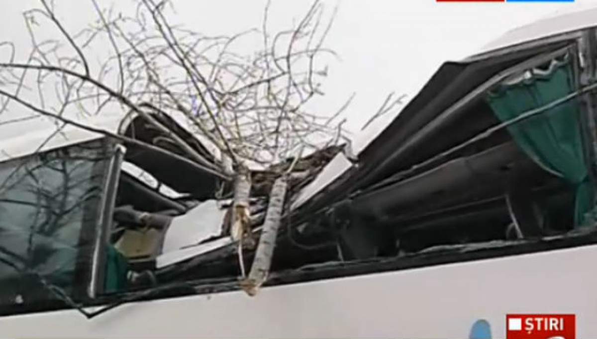 Vremea face ravagii în Capitală! Un copac s-a prăbuşit peste un autobuz din cauza vântului