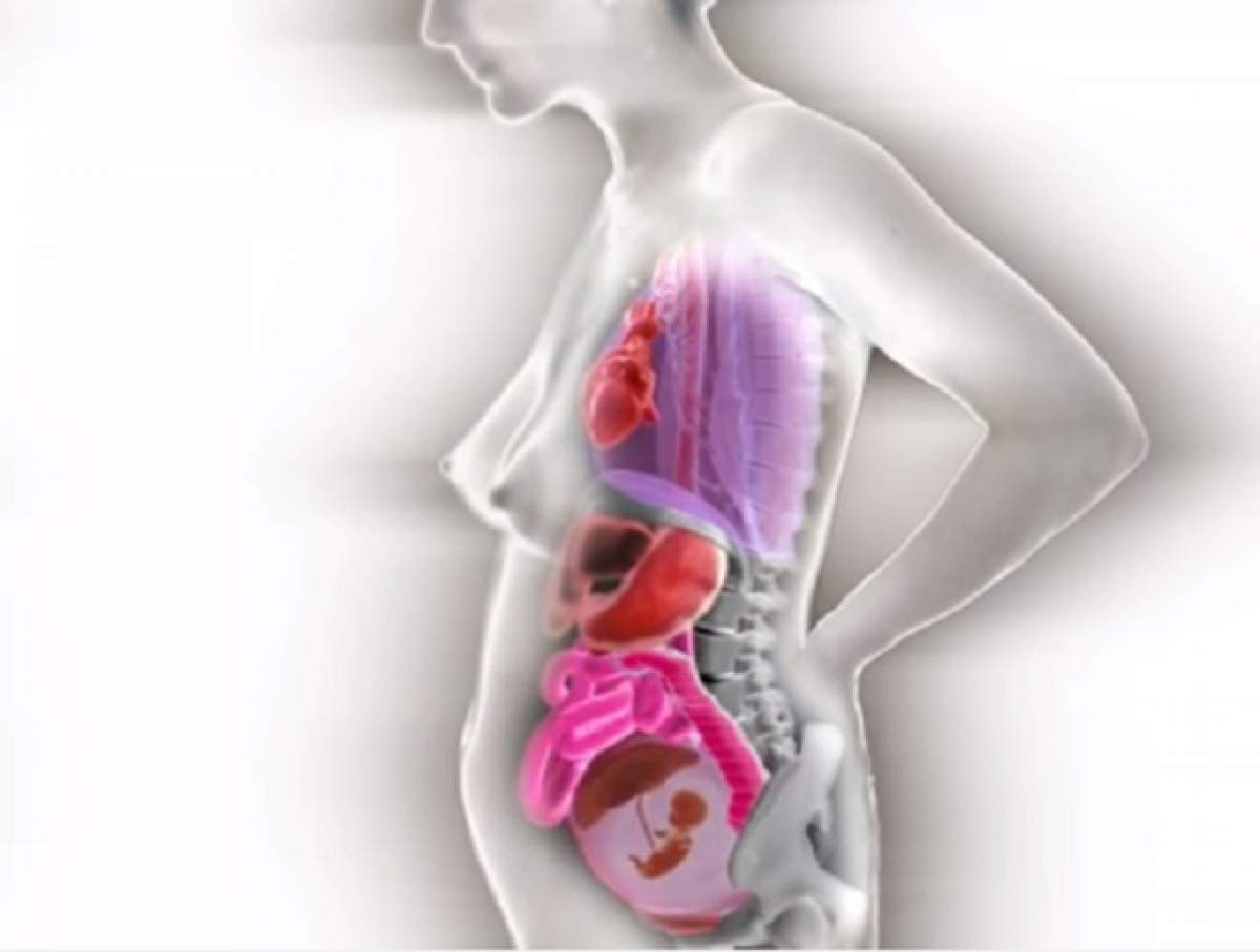 VIDEO / ÎNTREBAREA ZILEI - DUMINICĂ: Ce se întâmplă cu organele interne ale femeii în perioada sarcinii?