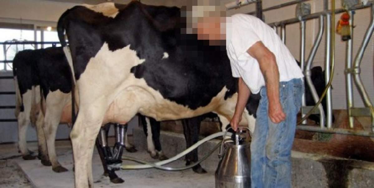 Ce se întâmplă, de fapt, cu laptele infestat cu E.coli? Autorităţile lansează o ipoteză şocantă!