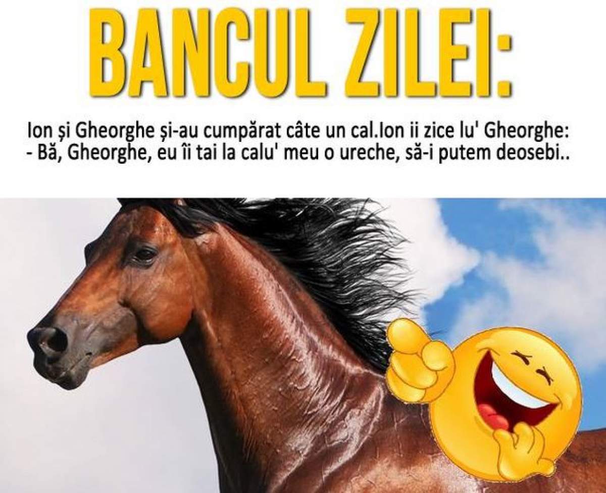 BANCUL ZILEI - SÂMBĂTĂ: Ion și Gheorghe și-au cumpărat câte un cal...
