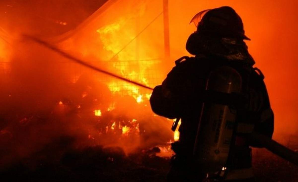 Incendiu puternic la o uzină de procesare a cărnii de pui! Sute de pompieri încearcă să stingă flăcările