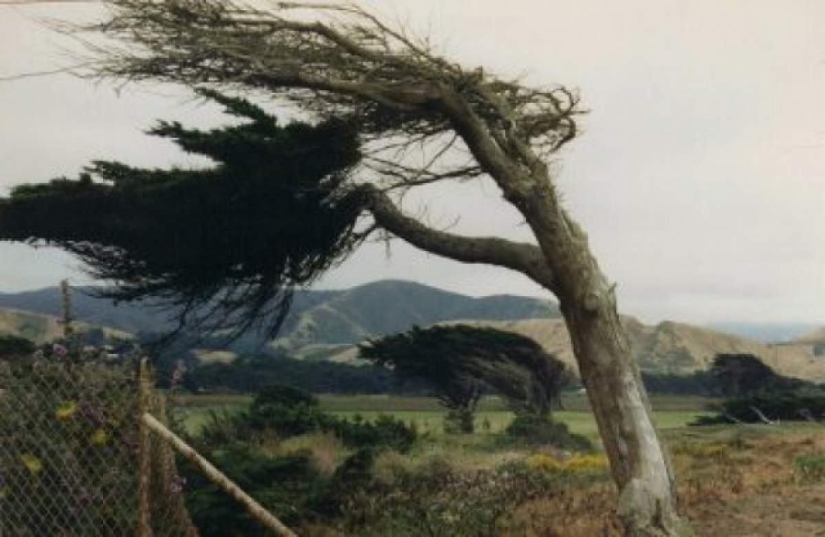 Avertisment de ultimă oră făcut de meteorologi! A fost emis Cod Galben nowcasting de intensificări ale vântului