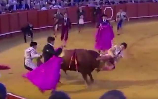 VIDEO / Un tânăr de 19 ani luat în coarne de un taur! Imaginile care au îngrozit toată lumea