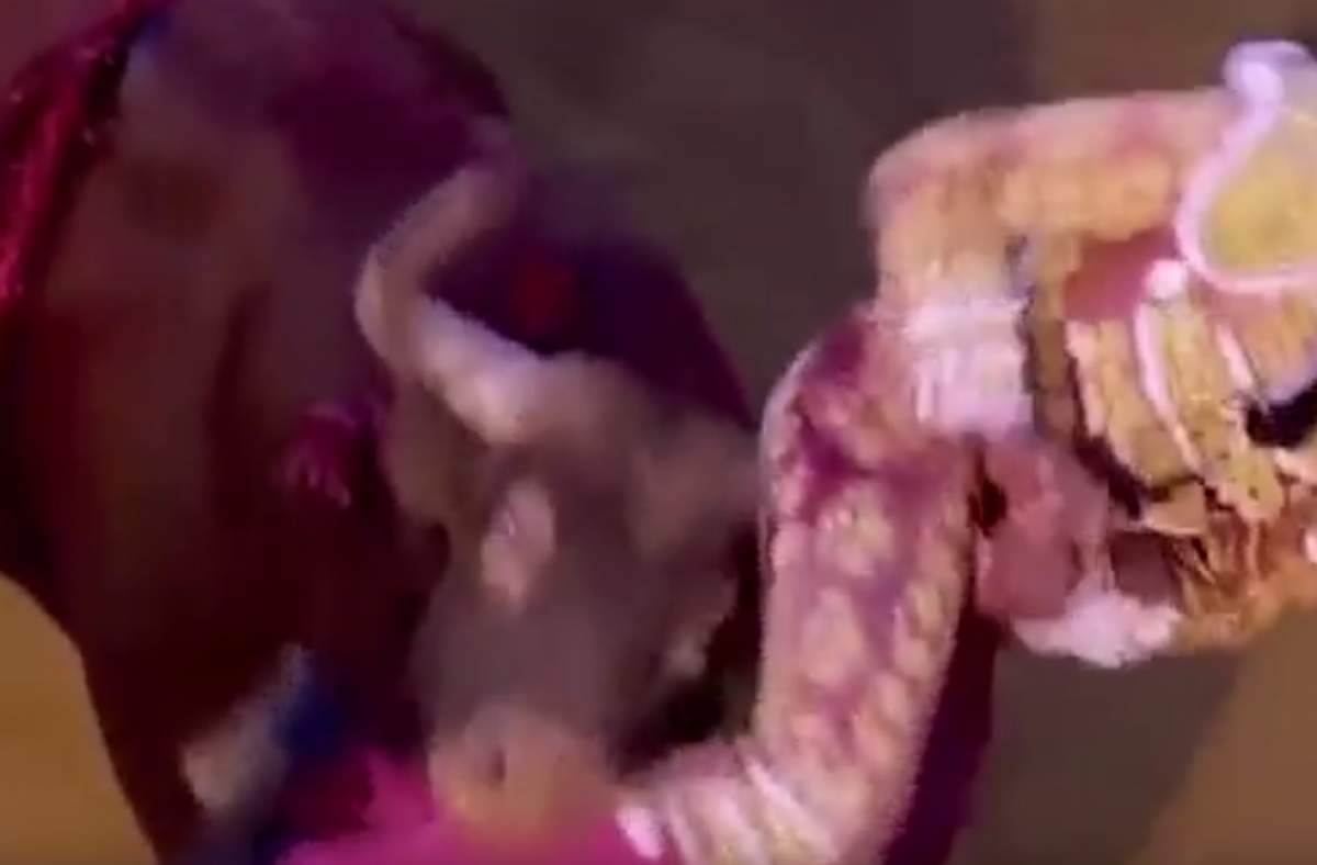 VIDEO / Un tânăr de 19 ani luat în coarne de un taur! Imaginile care au îngrozit toată lumea