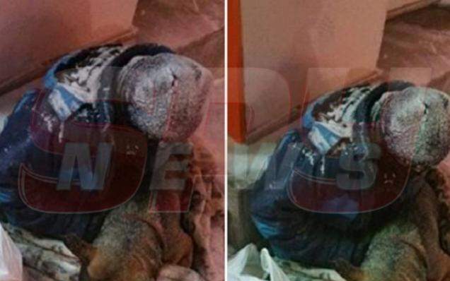 Gestul cerşetorului cu Lupul care i-a revoltat pe iubitorii de animale!