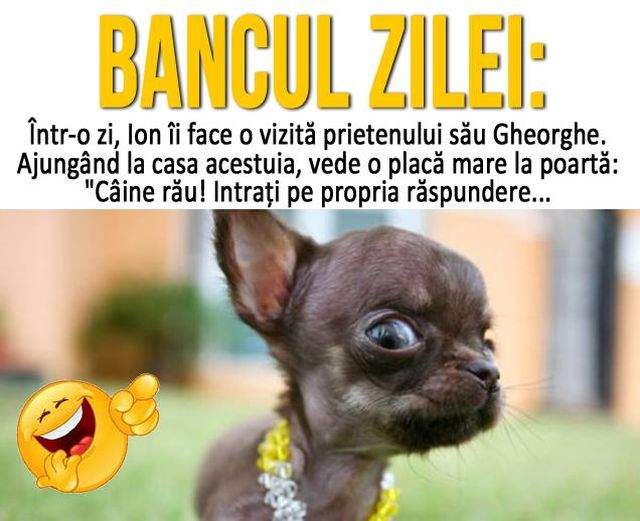 BANCUL ZILEI - LUNI: Într-o zi, Ion îi face o vizită prietenului său Gheorghe. Ajungând la casa acestuia, vede...