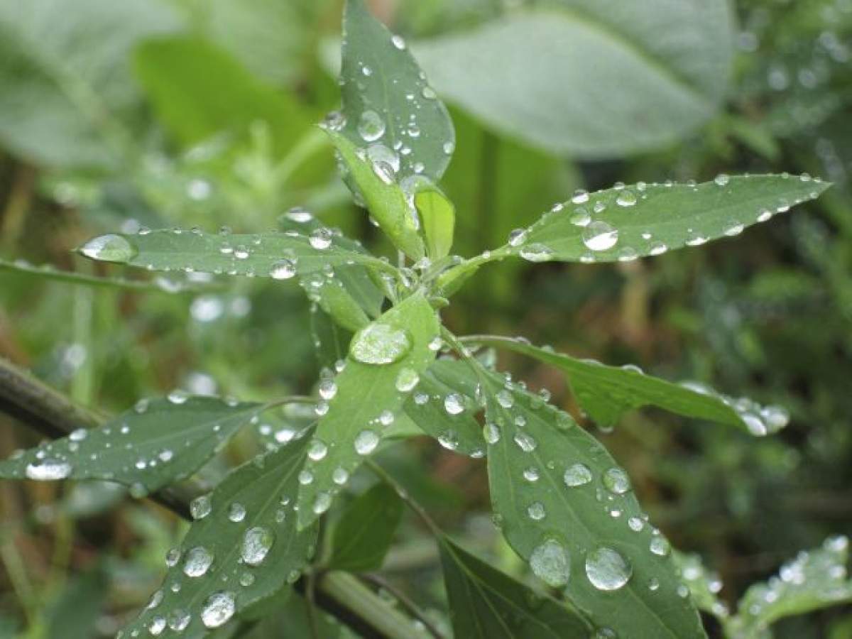 Atenționare meteo de vreme rea. Va fi prezentă și grindina! Care sunt zonele vizate