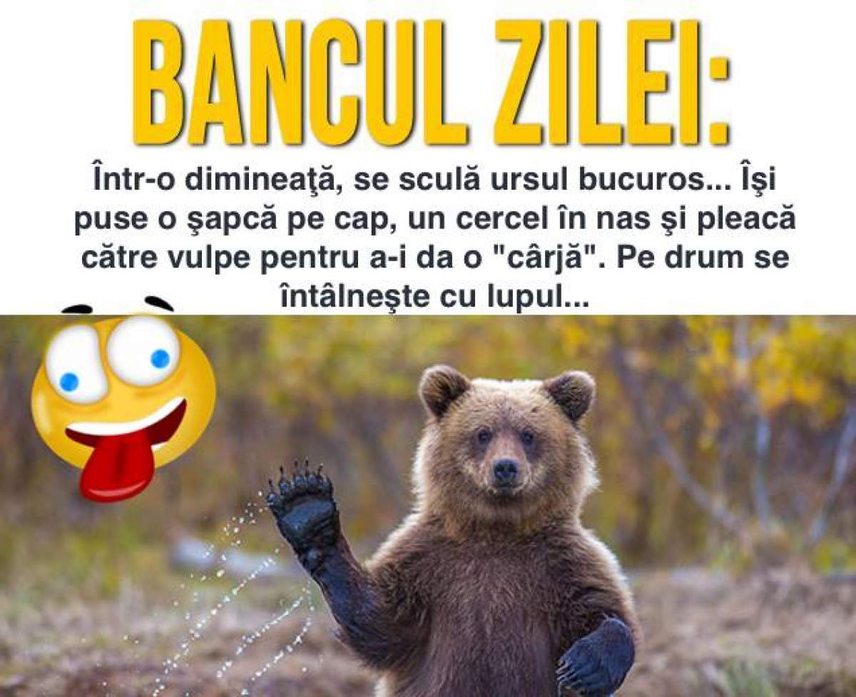 Bancul zilei: Într-o dimineaţă, se sculă ursul bucuros... Îşi puse o şapcă pe cap, un cercel în nas şi pleacă către...