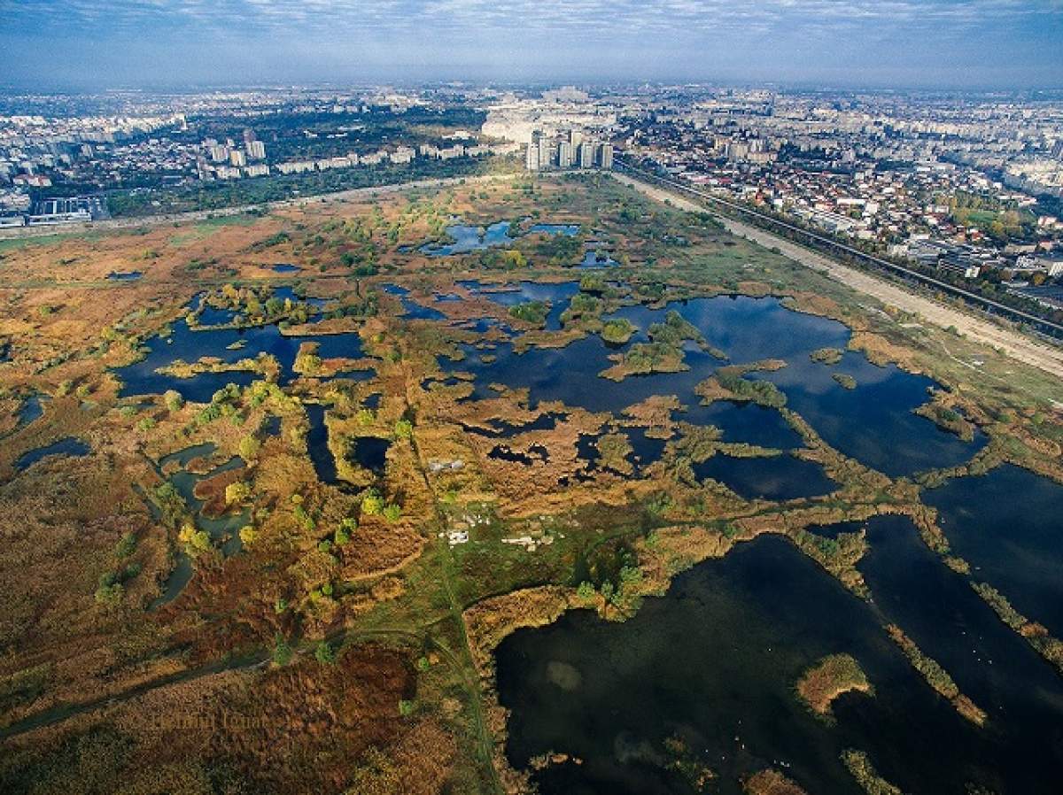 Decizie de ultimă oră în cazul Parcului Natural Văcărești!