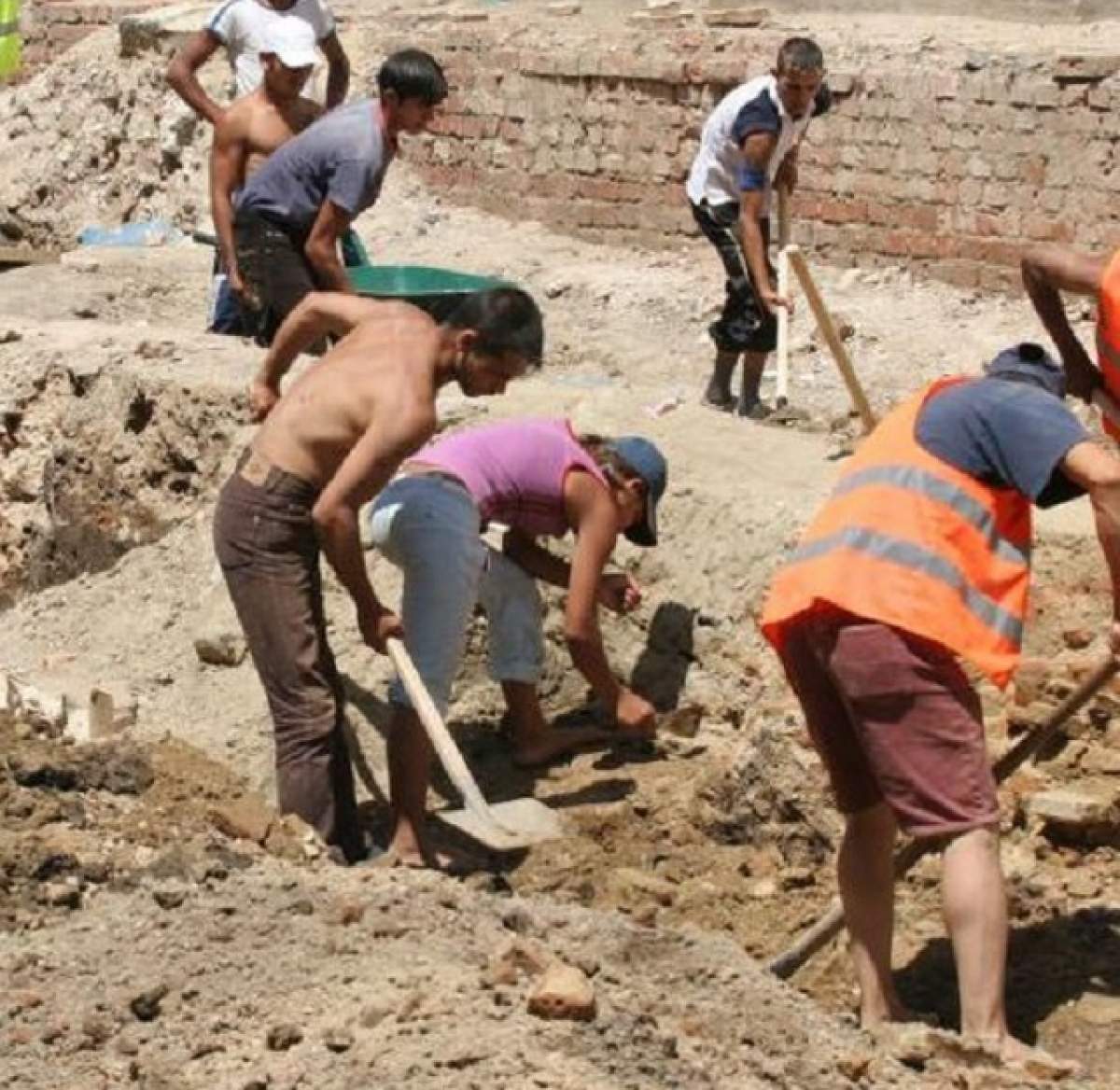 VIDEO/Ce face "Dorel" când nu face pocinoage! Imagini incredibile surprinse în plină zi