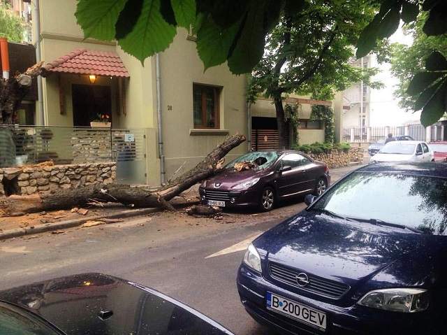 FOTO / Credea că o aşteaptă o săptămână minunată, dar a avut parte de o surpriză de coşmar! Ce i s-a întâmplat Anei Baniciu la primele ore ale dimineţii