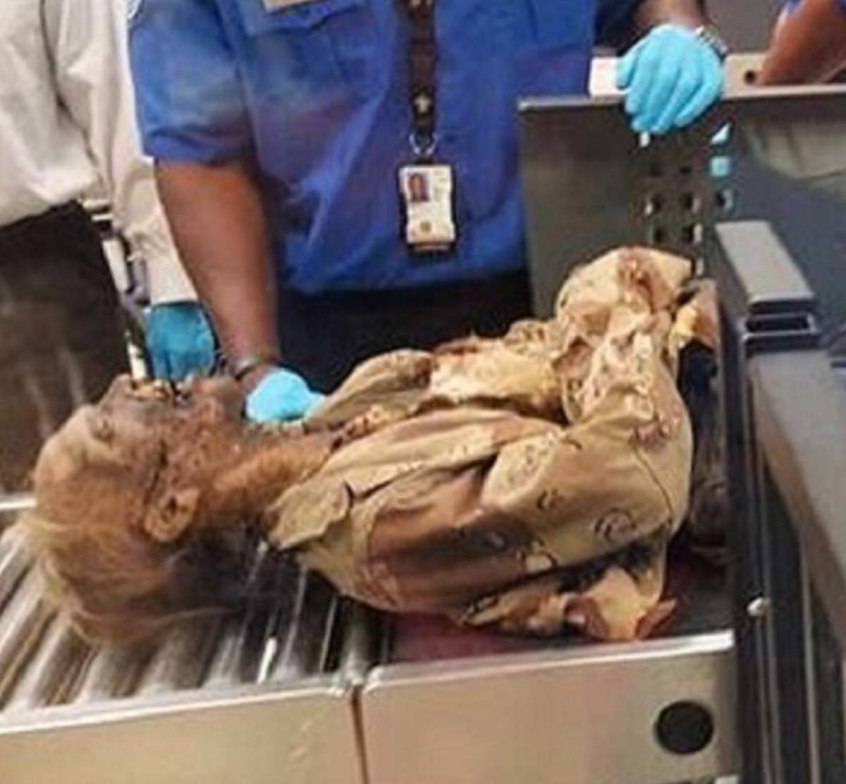 SCENE BIZARE pe aeroport! Un "cadavru", controlat de ofiţerii de securitate