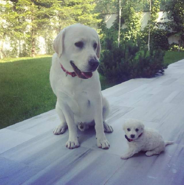 FOTO / Andreea Bălan, în culmea fericirii! I s-a mărit familia peste noapte