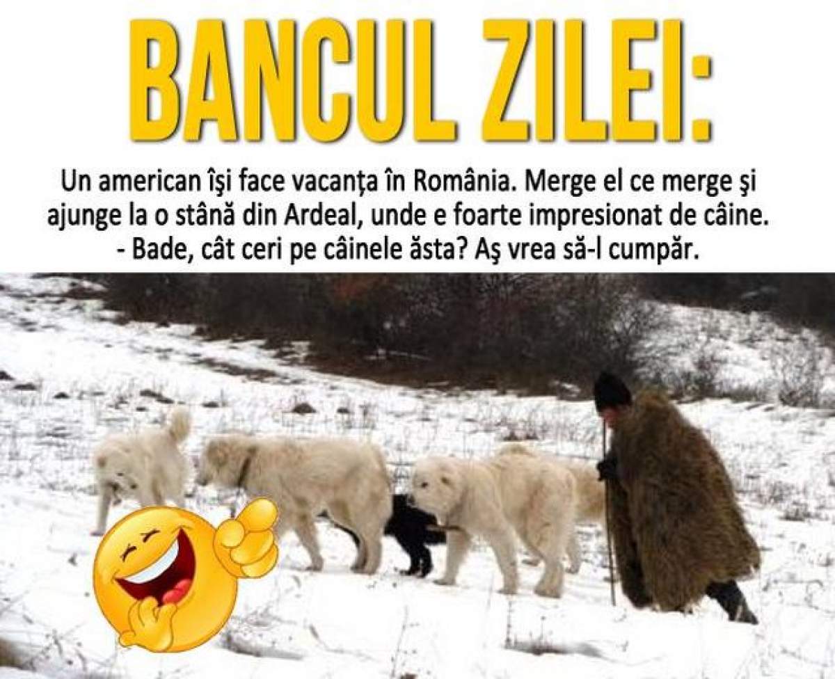 BANCUL ZILEI - LUNI: Un american îşi face vacanţa în România. Merge el ce merge şi ajunge la o stână din Ardeal...