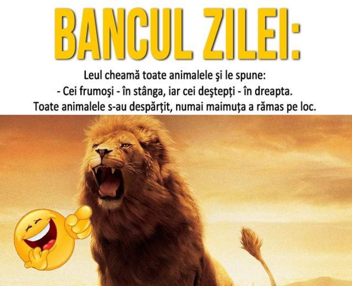 BANCUL ZILEI - MARȚI: Leul cheamă toate animalele și le spune...