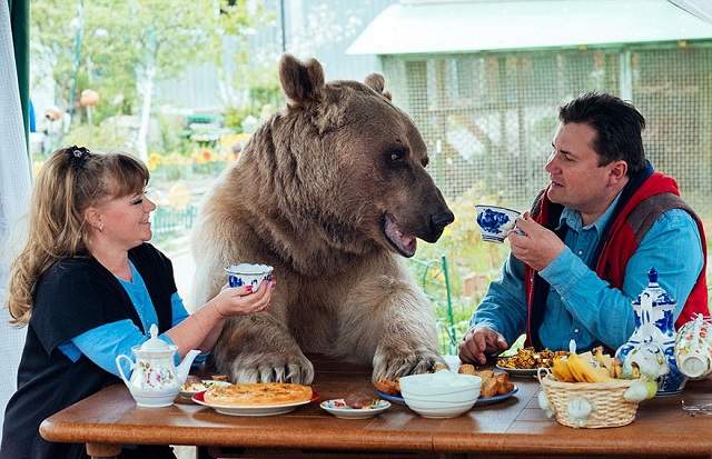 VIDEO / Nebunie curată! O familie din Rusia locuieşte împreună cu un urs uriaş!