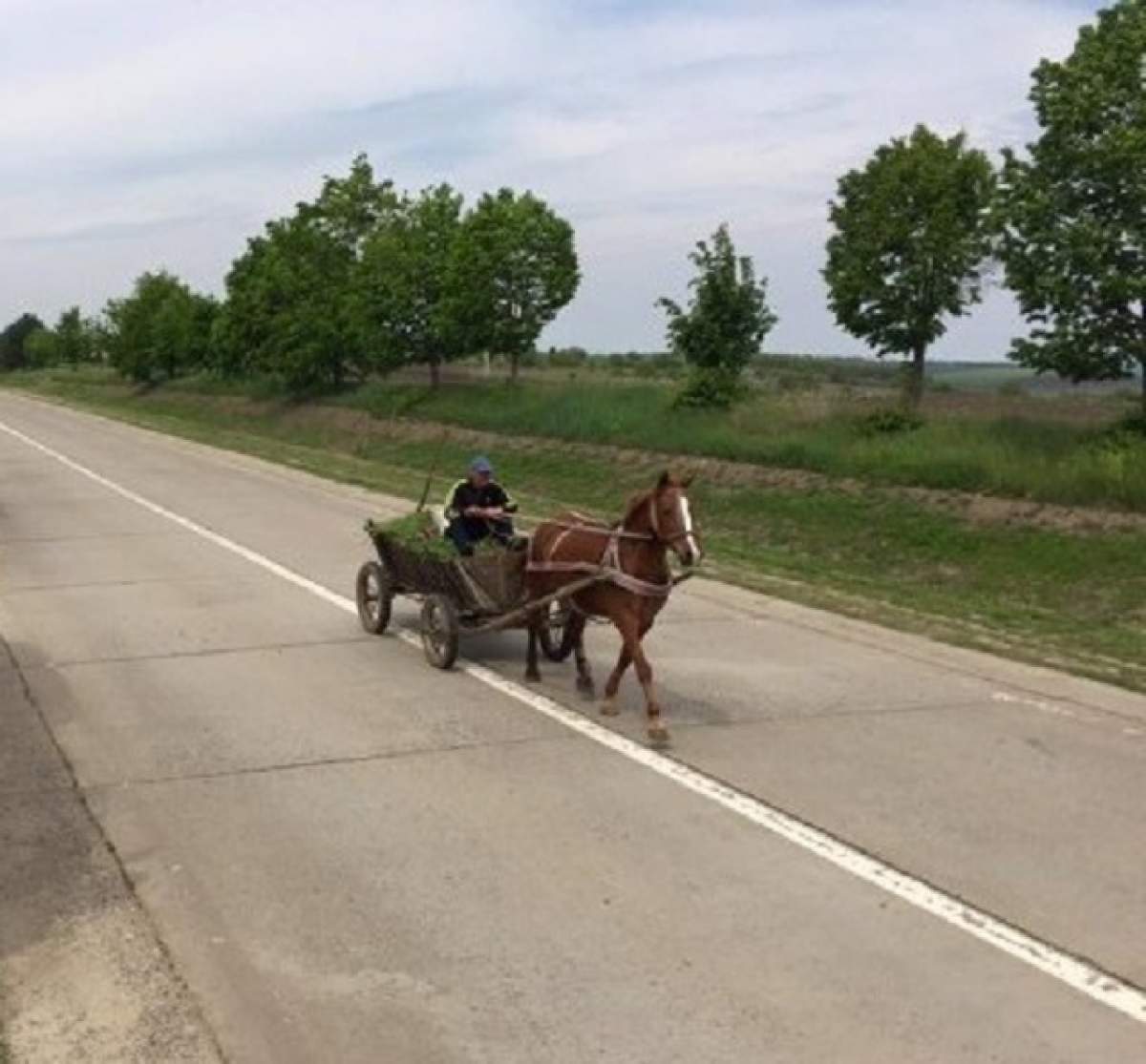 Au fotografiat o căruţă pe un drum din Moldova, dar ce se afla pe partea cealaltă a uimit pe toată lumea!