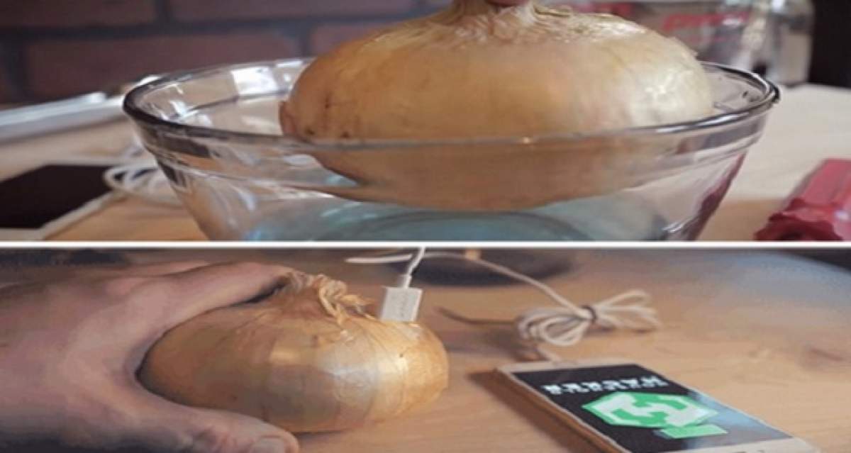 VIDEO / Cum să îți încarci telefonul doar cu... o ceapă! Este incredibil, dar adevărat!