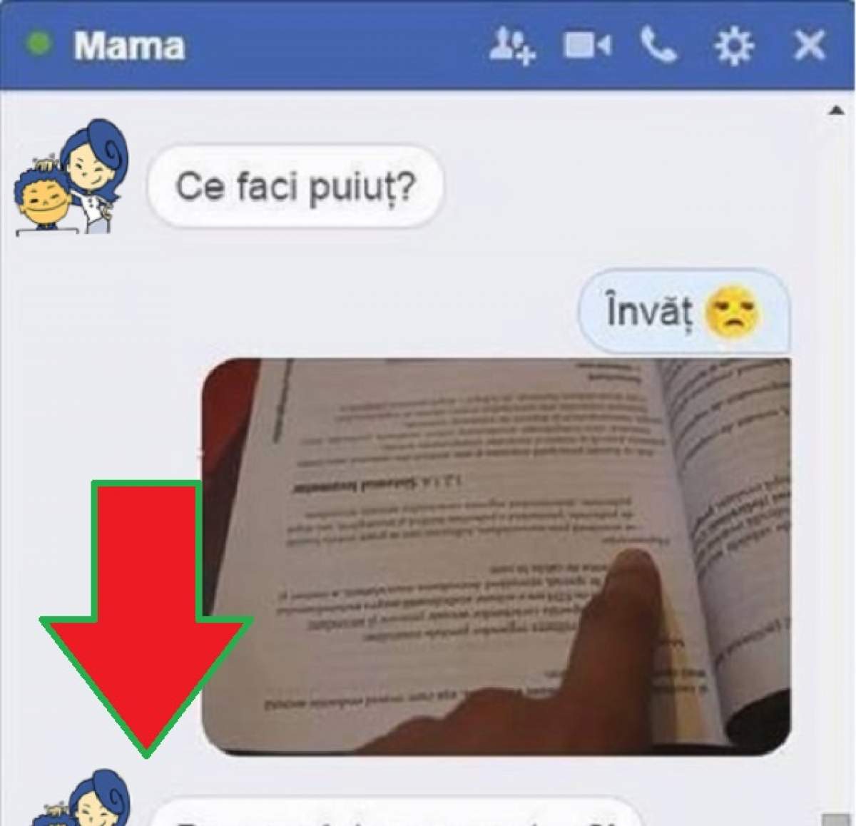 Conversaţia multor elevi aflaţi în pragul Bacalaureatului! Răspunsul mamei e genial