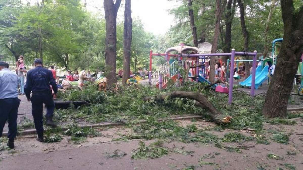 Doi adulţi şi trei copii au fost răniţi! O creangă dintr-un copac din parcul Cişmigiu s-a rupt şi a căzut peste ei
