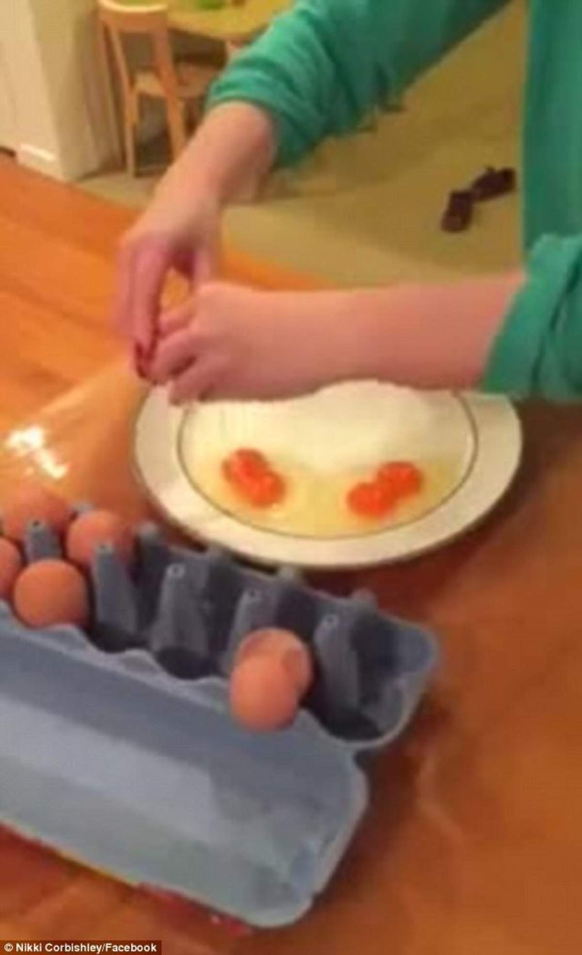 FOTO / A spart un carton cu ouă de găină şi mare i-a fost surprinderea când a văzut ce se afla înăuntru! Imaginile fac furori pe internet