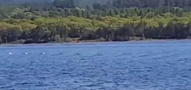 Monstrul din Loch Ness, mort? Dovada înfricoşătoare care circulă pe Internet