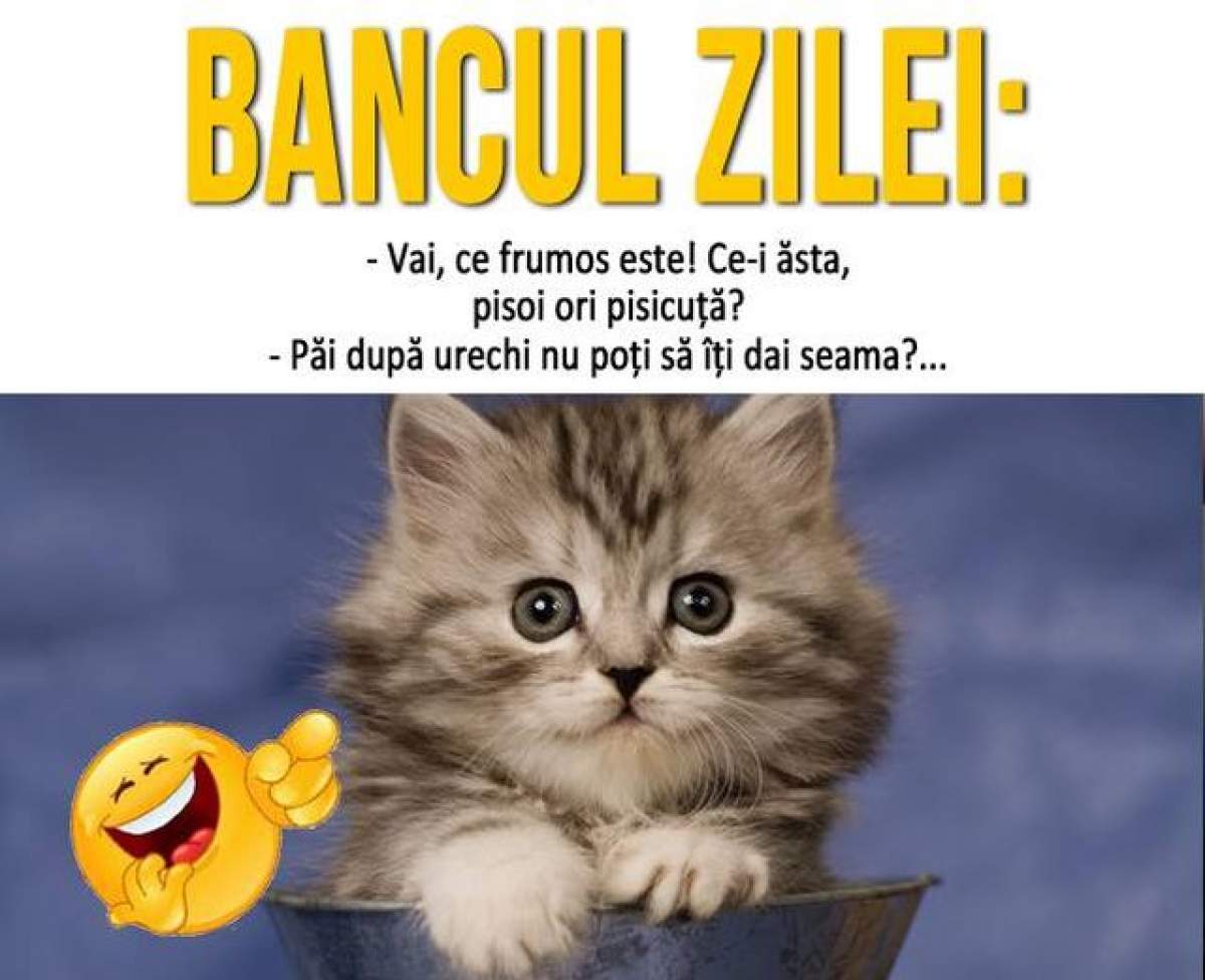 BANCUL ZILEI - LUNI: Vai, ce frumos este...