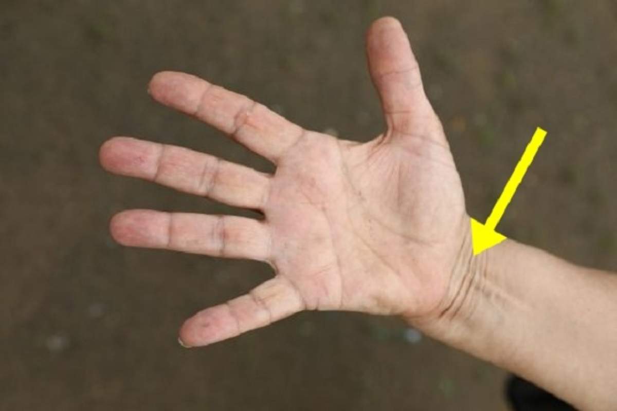 Şi tu ai aceste linii la încheietura mâinii? Iată ce înseamnă şi cum îţi influenţează viaţa