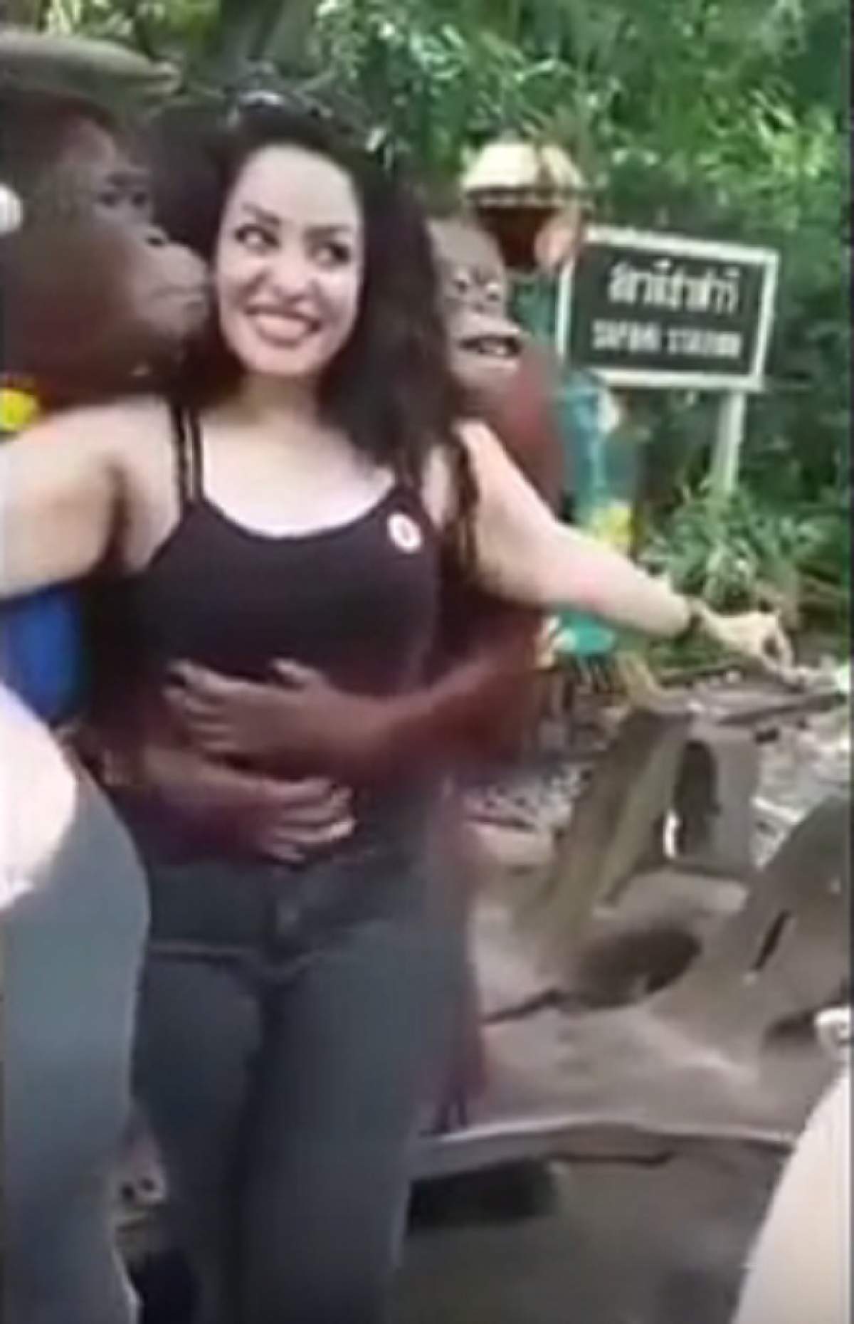 VIDEO / Ce-i frumos... şi ANIMALELOR le PLACE! Un urangutan s-a îndrăgostit de SÂNII unei femei şi a trecut la ACŢIUNE