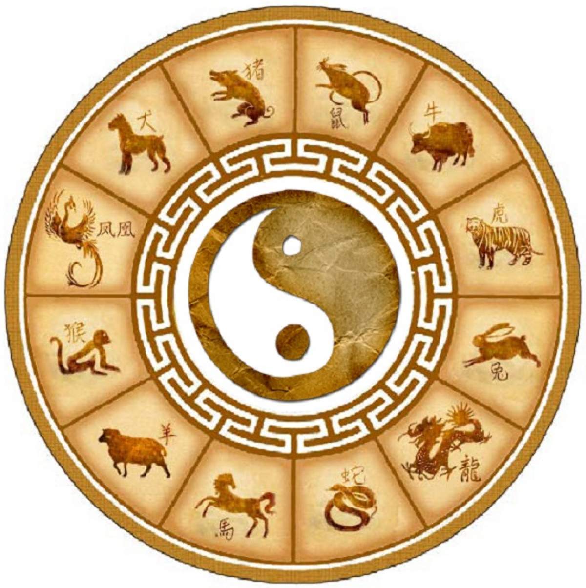 VIDEO / Horoscop chinezesc pe luna Iulie! Câinii trebuie să fie atenţi la maşinile lor