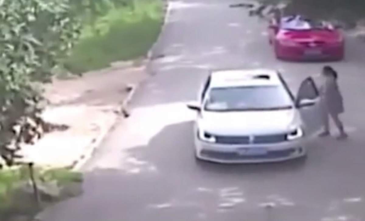 VIDEO ŞOCANT! O femeie a coborât din maşină şi a fost mâncată de vie de un TIGRU! Totul s-a întâmplat în faţa FAMILIEI