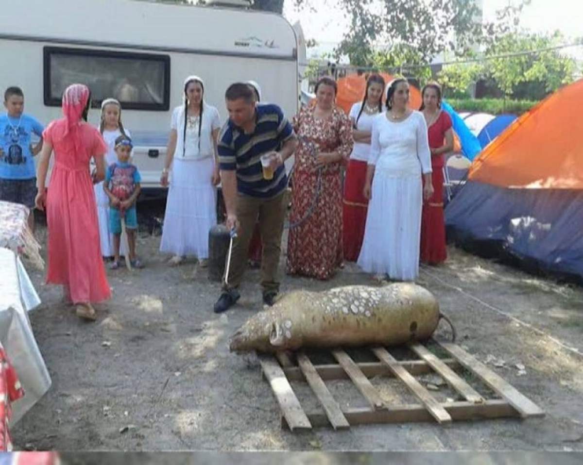 VIDEO / O familie de romi a tăiat porcul pe plaja din Mamaia