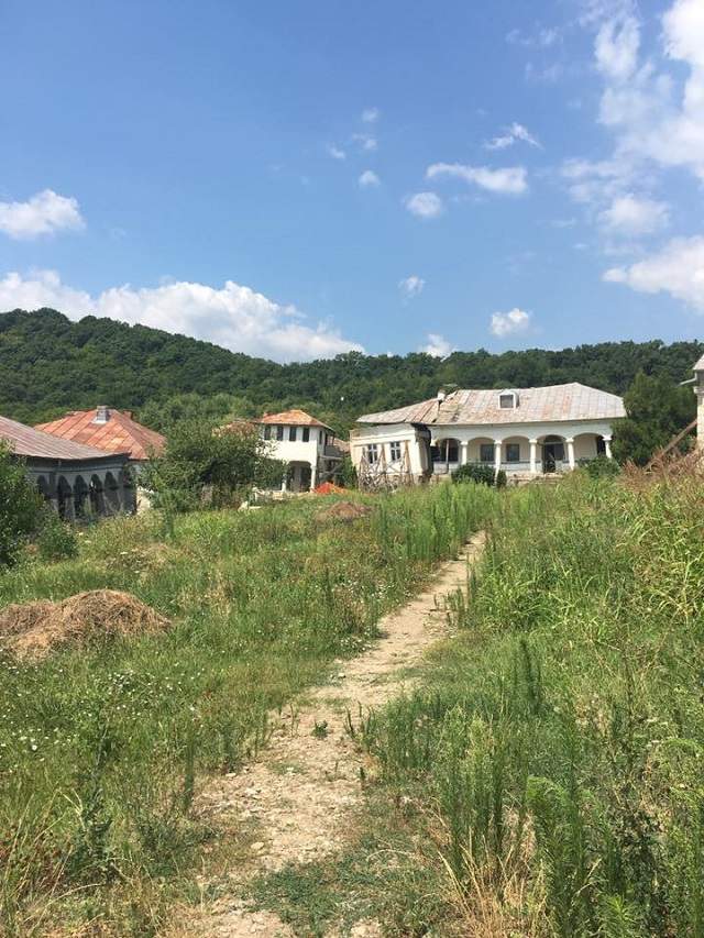 FOTO / Ozana Barabancea, apel disperat la prieteni: "E trist! E tragic! E dureros!"