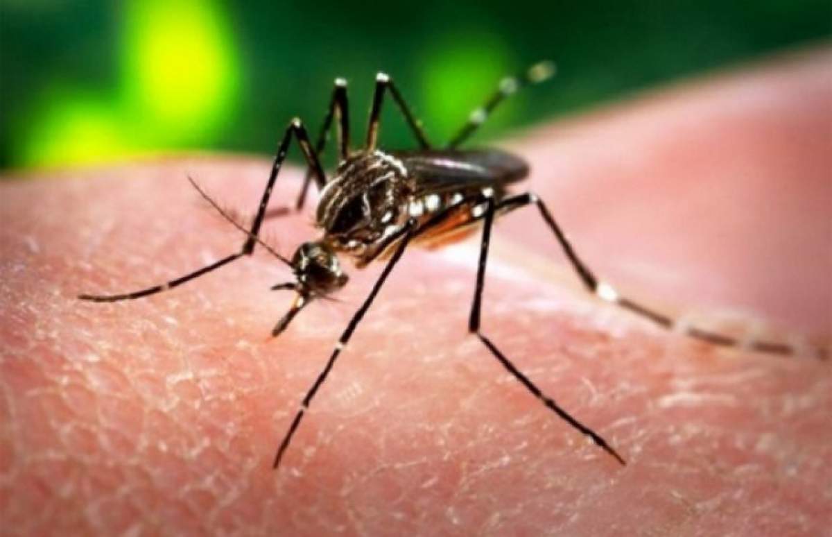 Al treilea caz de Zika a fost confirmat în România